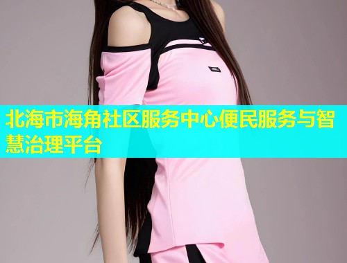 北海市海角社区服务中心便民服务与智慧治理平台 第1张 北海市海角社区服务中心便民服务与智慧治理平台 第1张