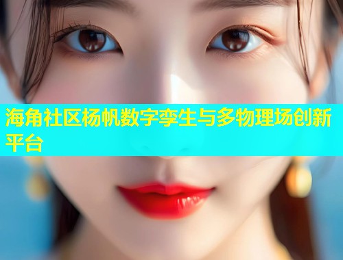 海角社区杨帆数字孪生与多物理场创新平台