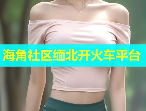 海角社区缅北开火车平台  第2张