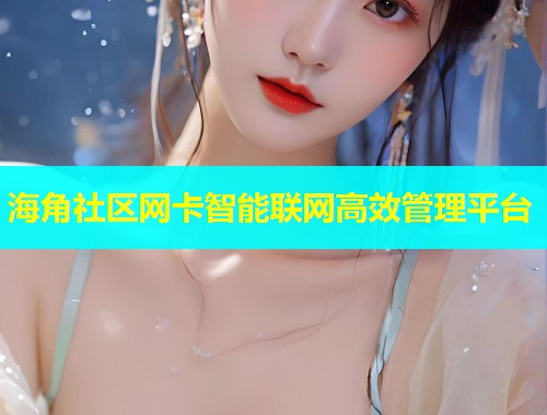 海角社区网卡智能联网高效管理平台